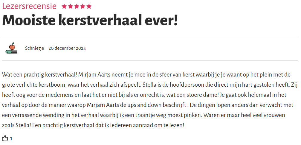 Review de verloren kerstwens 2